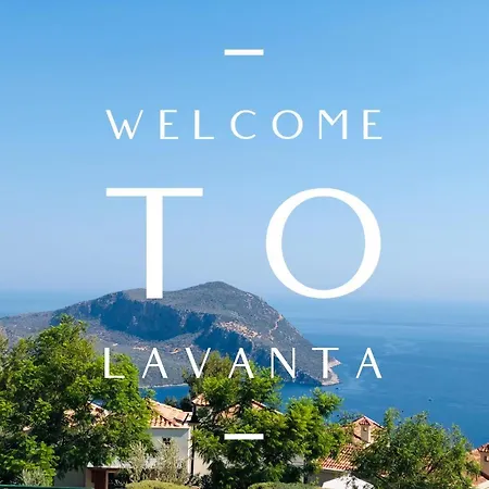 Safak, Lavanta,